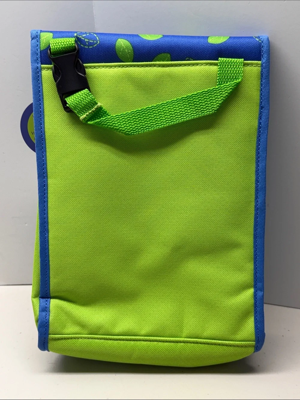 Skip Hop Blue and Green Dinosaur Lunch Bag